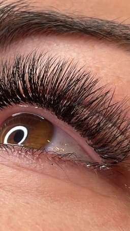 Close up lash attachment