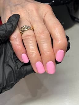 Builder Gel & Gel Colour
