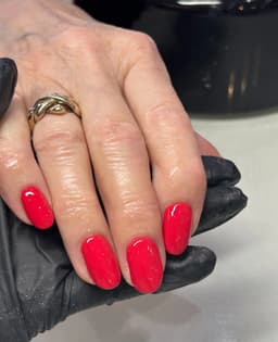 Builder Gel & Gel Colour