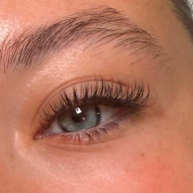 Classic Lashes