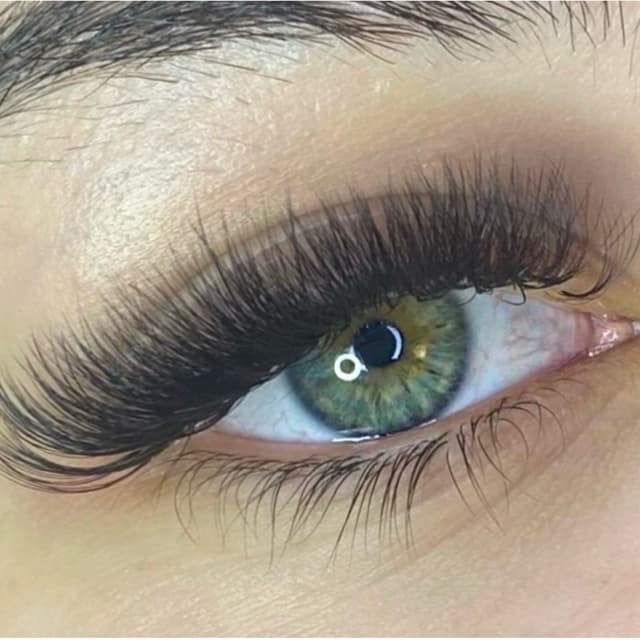 Volume Lashes