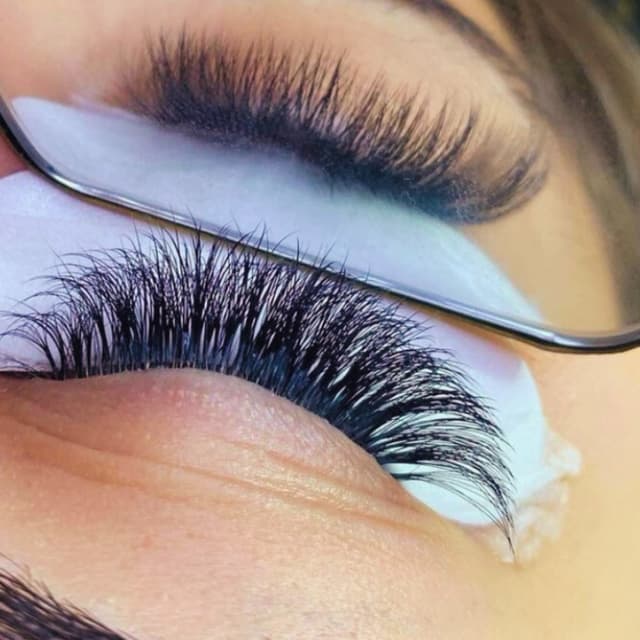 Volume Lashes