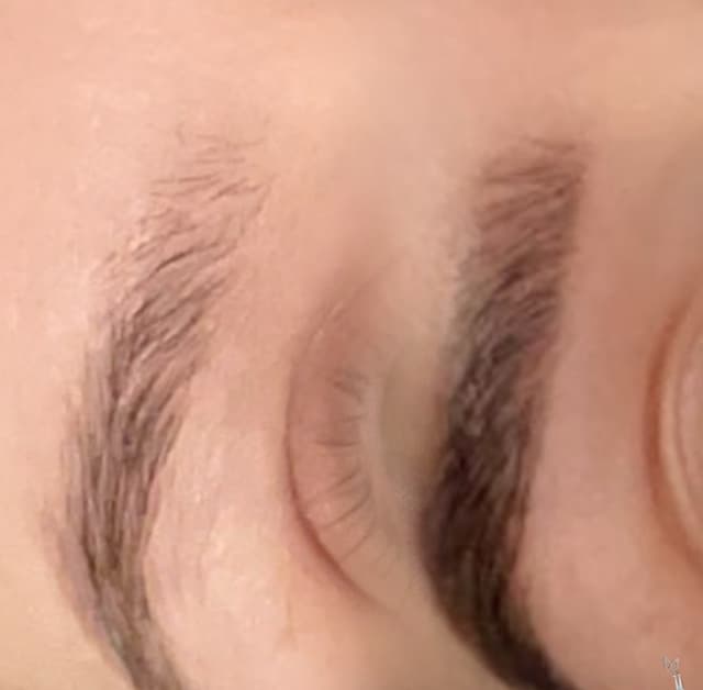 Brow Lamination W/ Hybrid Stain