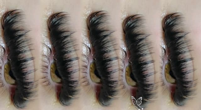 Wispy Russian Lashes