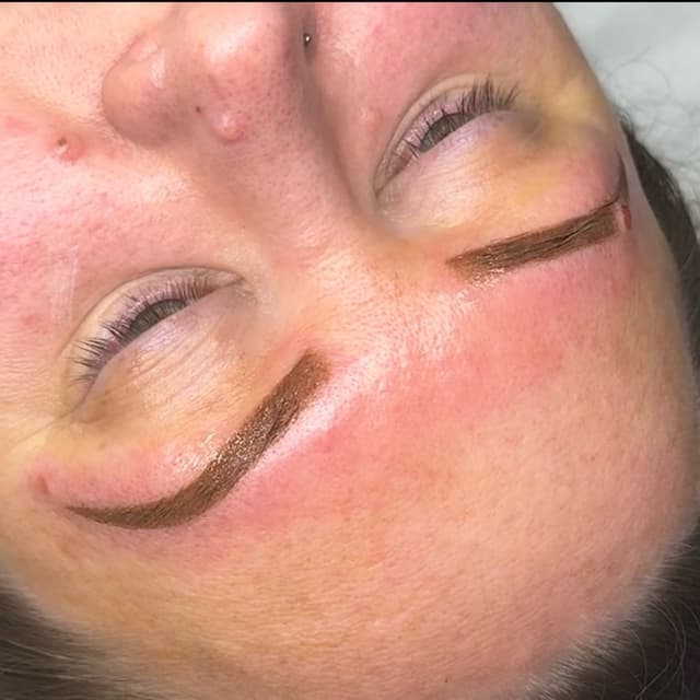 Ombré Powder Brows (SPMU)