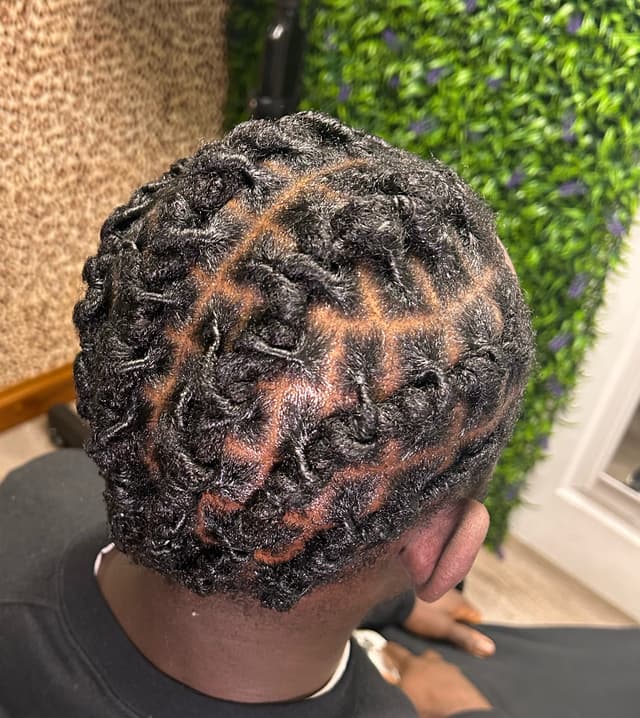 Retwist and style starter dreads
