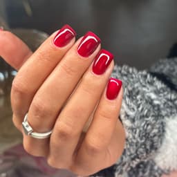 ππππ πππ₯π¬