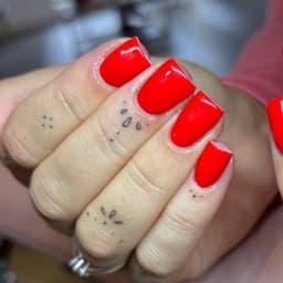 ππππ πππ₯π¬