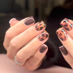 ππππ πππ’π₯ ππ«π