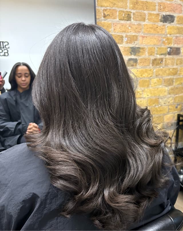 Signature Silk Press