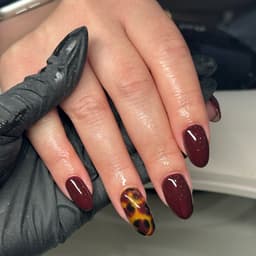 Hard Gel, Gel Colour & Nail Art