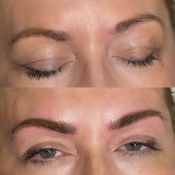 PMU- Combination Brows (cover up)