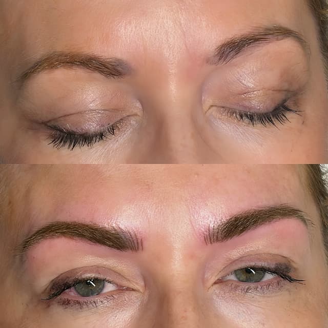 PMU- Combination Brows (cover up)