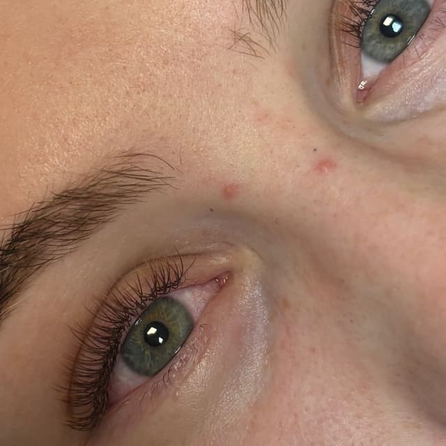 Classic Brown Lashes