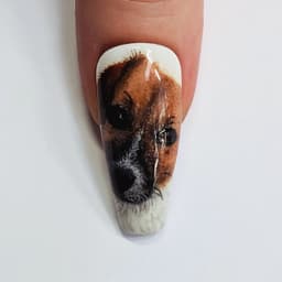 Keith the dog portrait nail