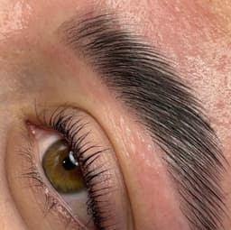 lash lift & brow lamination