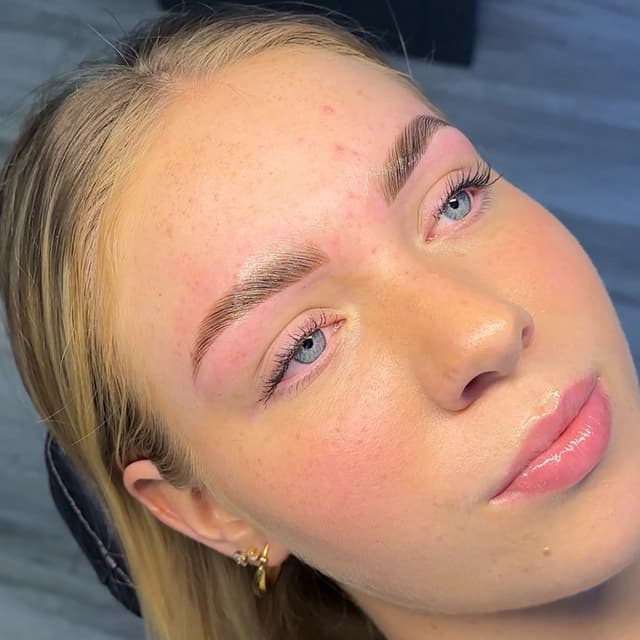 Eyebrow Lamination + Hybrid Dye
