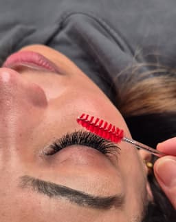 Signature Classic Lash set