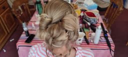 Updo/bridal