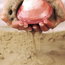 Lava Shells luxurious Massage