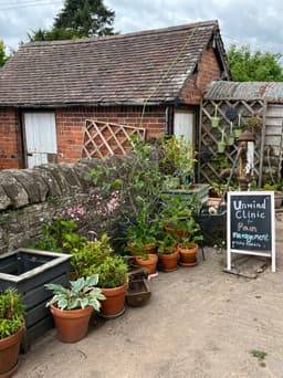 Pots of plants