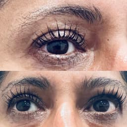 LVL lash lift