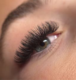 Volume lashes