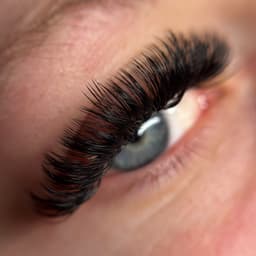Volume lashes