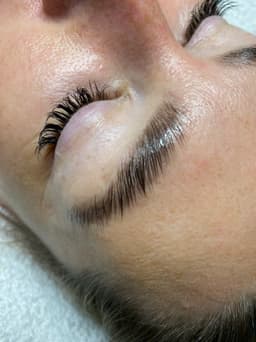 Brow Lamination