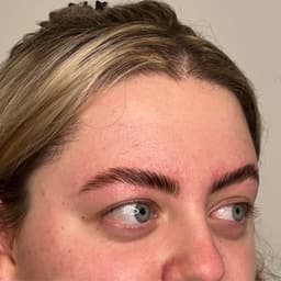 BrowSculpt Brows