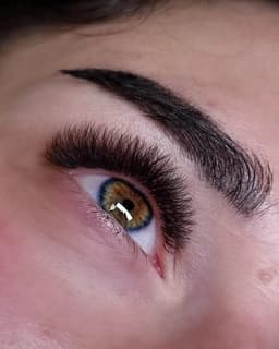 Volume lashes