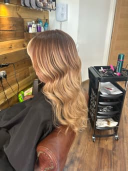 Highlights & root melt