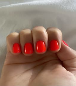 🧡🍊