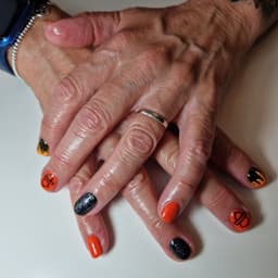 Harley Davidson with flames