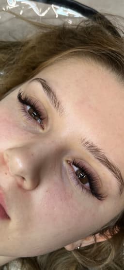 Mayfair lashes
