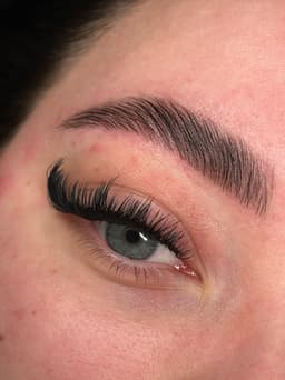 Hybrid lash /Brow lamination and tint