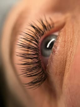 Classic Lashes