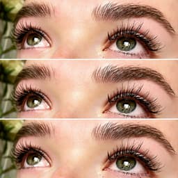 Lash Perfect Express Lashes