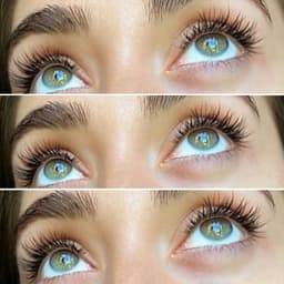 Lash Perfect Express Lashes