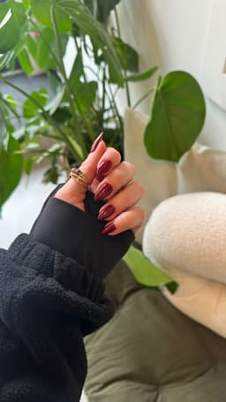 Shellac file and polish