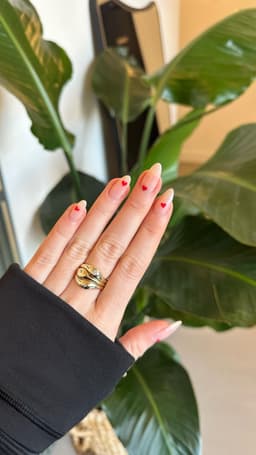 Shellac file and polish