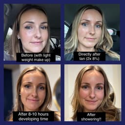 The development process