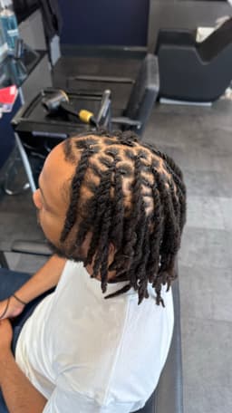 Rope twist men’s Locs
