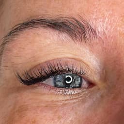 Light volume cat eye lash extensions