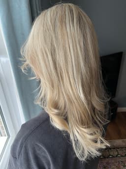 Half head of highlights and toner