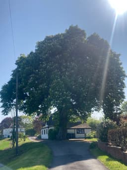 Peaceful setting in Heddington