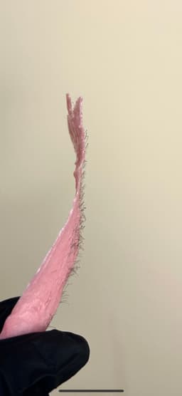 Satisfying underarm wax strip