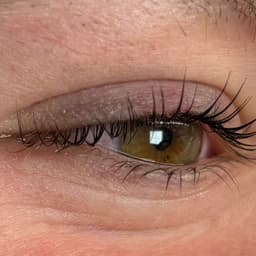 Lash lift