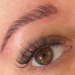 Light Hybrids & Brow Lamination