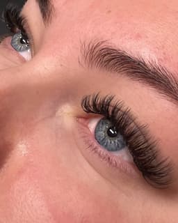 Hybrid Cat Eye Lashes
